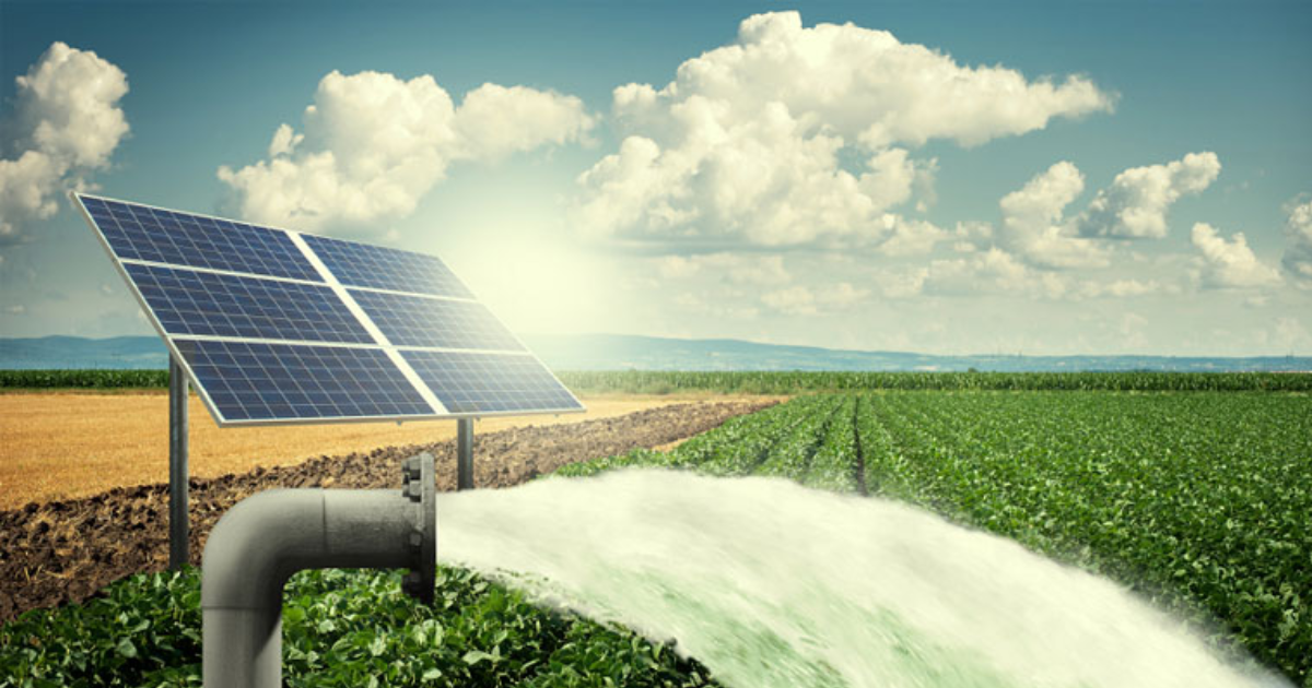 ENERGIA SOLAR NA AGRICULTURA: IRRIGAÇÃO E MAIS 96H