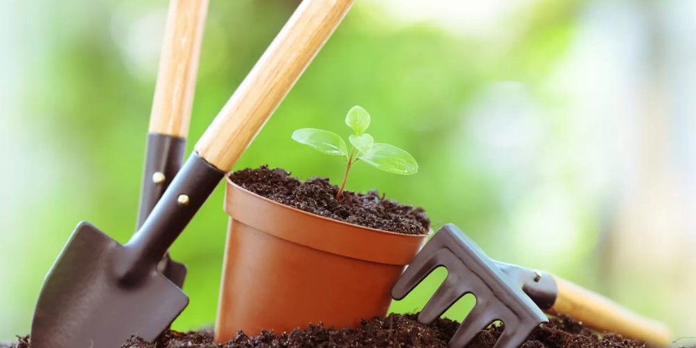 Jardinagem Profissional: Áreas Verdes 96h